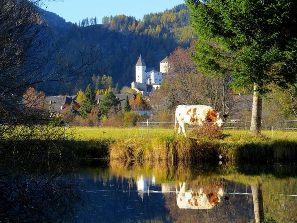 Ferienwohnung Und Zimmer Kassar Bikertipp Mauterndorf  Exteriér fotografie